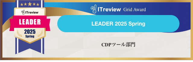 ITreview 2025 Spring Leader