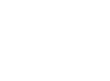 laurel icon left