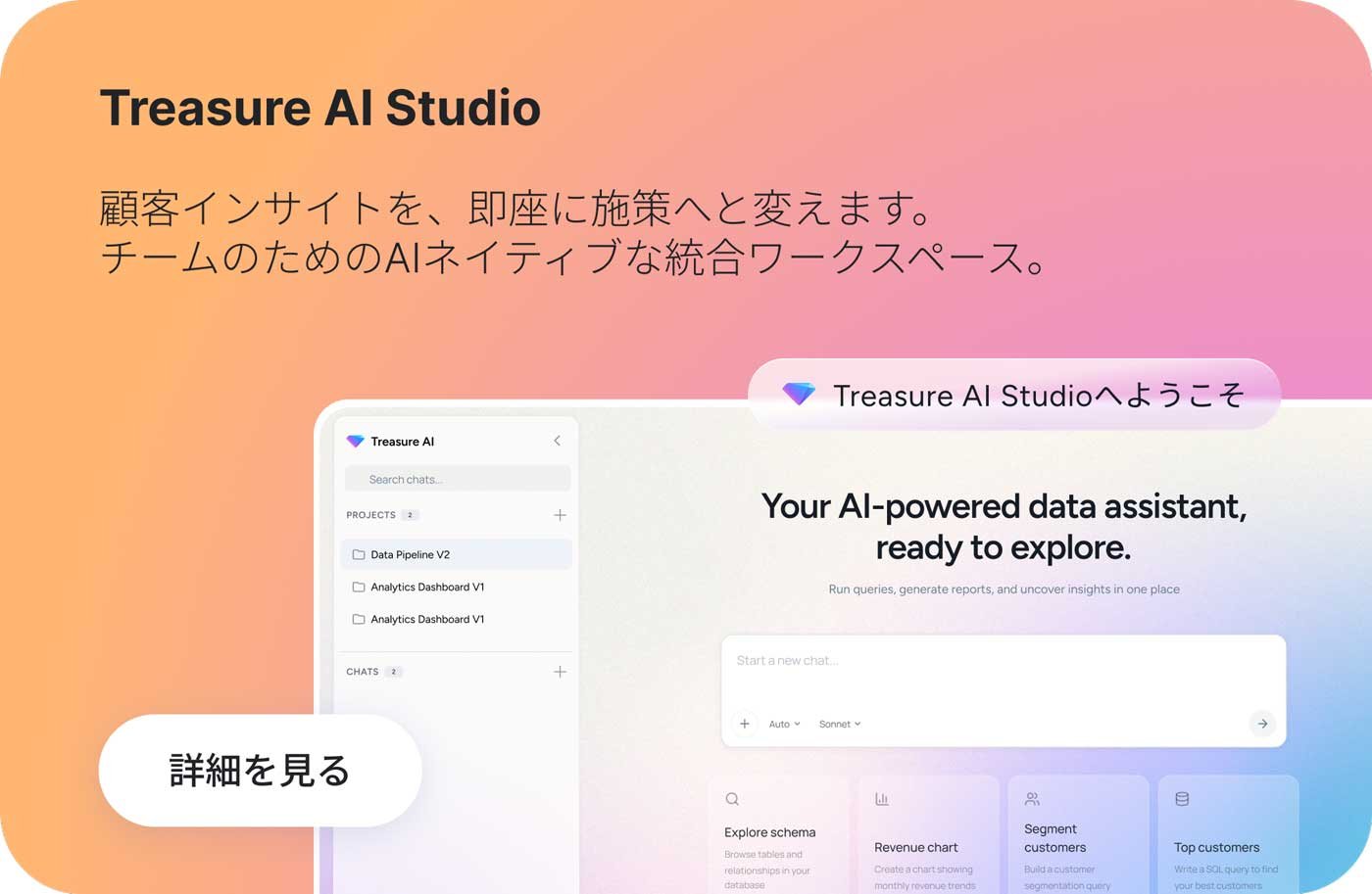 Treasure AI Studio 顧客インサイトを、即座に施策へと変えます。チームのためのAIネイティブな統合ワークスペース。