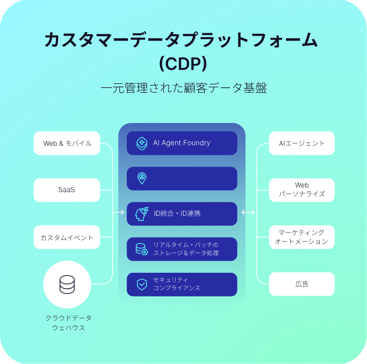 hybrid-cdp-web-1