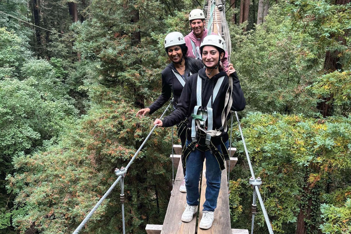 company-eci-1763132208391-1