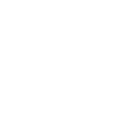airplane-icon