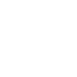 automotive-icon