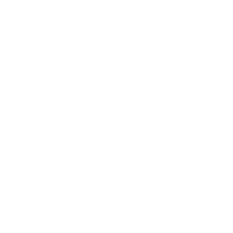 bank-icon