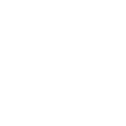 business-icon
