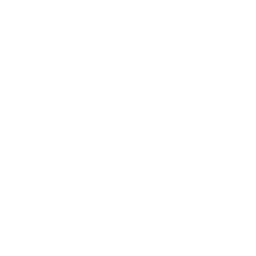 media-icon