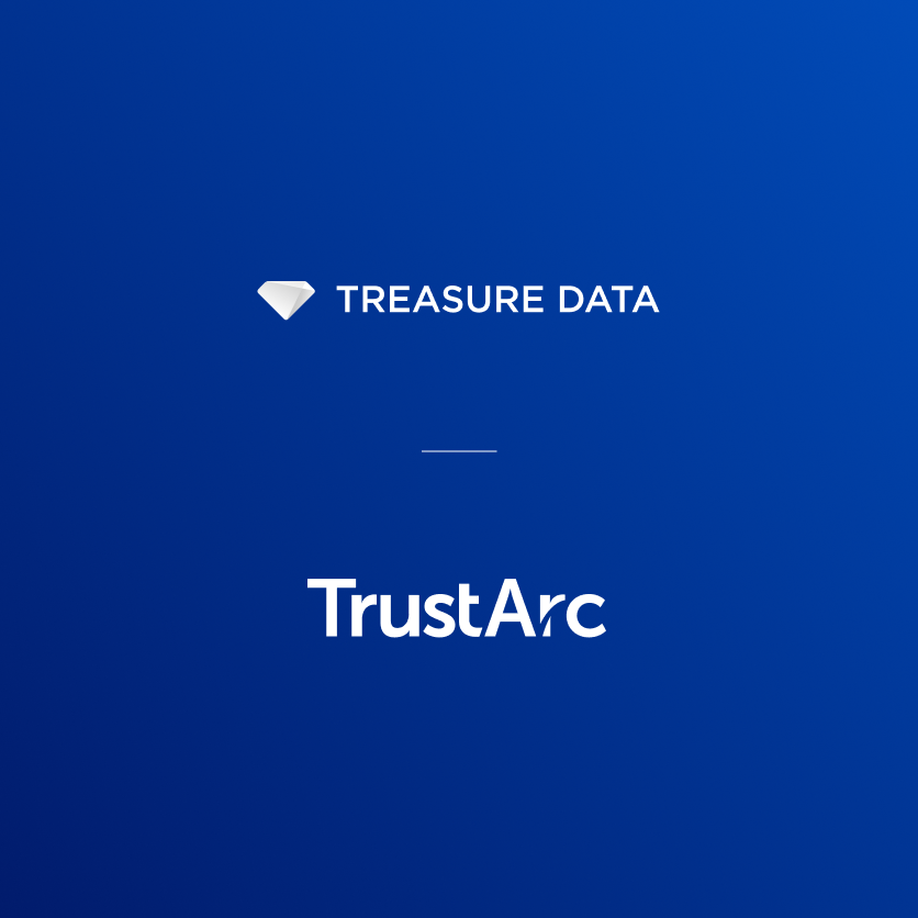Secure AI Deployment in Enterprise Customer Data Platforms